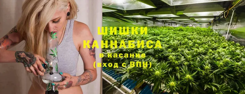 купить наркотик  Снежинск  Шишки марихуана LSD WEED 